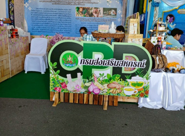งาน “สีสรรพรรณไม้ เทิดไท้บรมราชินีนาถ” ประจำปี 2568 ... พารามิเตอร์รูปภาพ 42